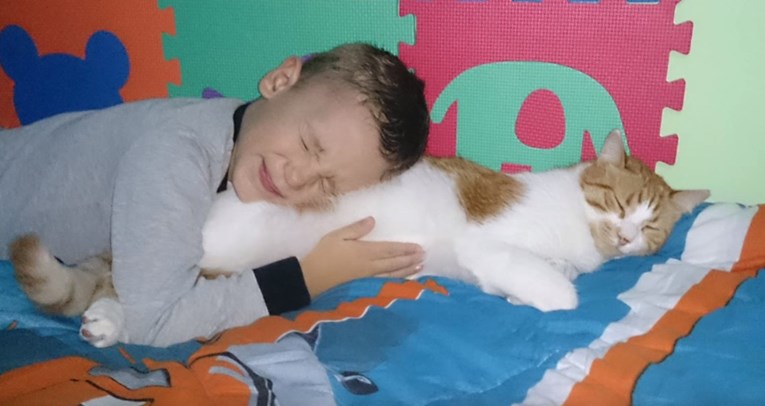 VIDEO Spašena maca postala je najbolja prijateljica s dječakom i njegovom malom sekom