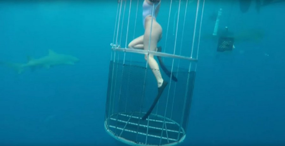 VIDEO Tijekom snimanja u moru, porno zvijezdu ugrizao morski pas