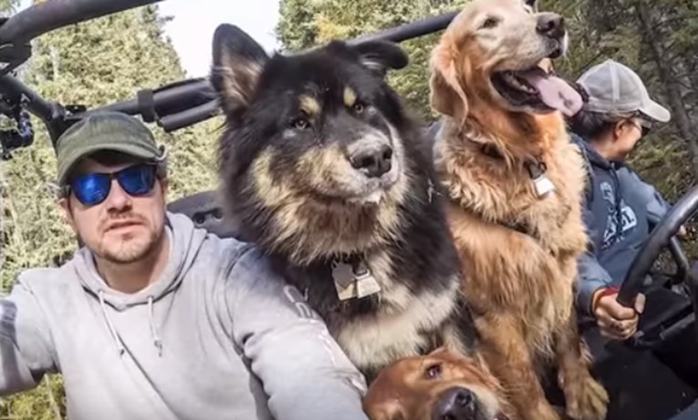 VIDEO Zbog posla se preselio usred ničeg, a život mu uljepšavaju tri predivna psa