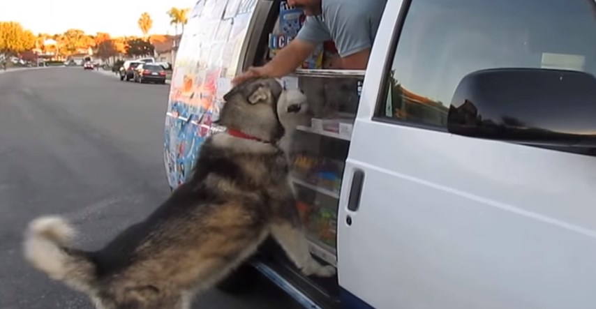 VIDEO Reakcija ovog psa na kamion sa sladoledima neprocjenjiva je