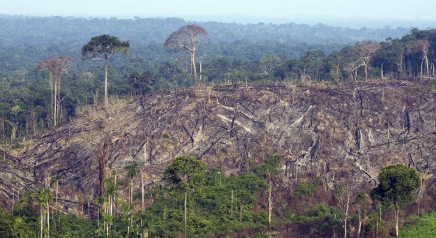 Šume u Amazoni nestaju, situcija nikad nije bila gora
