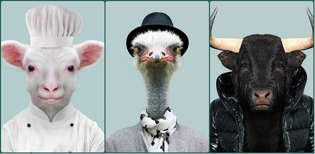 FOTO Fotograf "obukao" životinje u ljudsku odjeću, slike su fantastične
