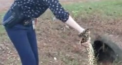 VIDEO Hrabra detektivka se hrvala s golemom anakondom i svladala je golim rukama