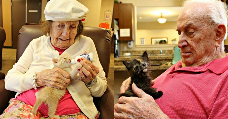 Dementni pacijenti bolnice brinu se o mačićima i tako uspijevaju vratiti pamćenje