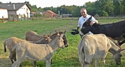 Antun Ponoš spasio magarce koji su bili na rubu smrti, kupio ih od nemarnog vlasnika
