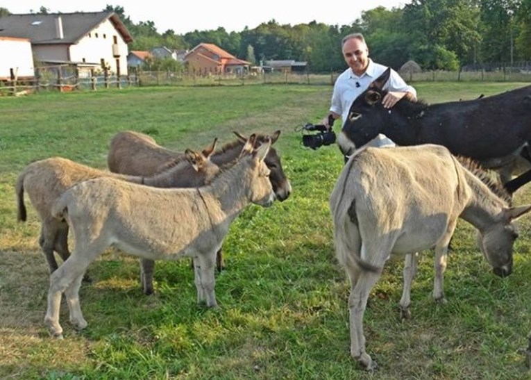 Antun Ponoš spasio magarce koji su bili na rubu smrti, kupio ih od nemarnog vlasnika