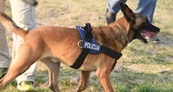 Hrvatska i BiH zajedno obučavaju službene pse
