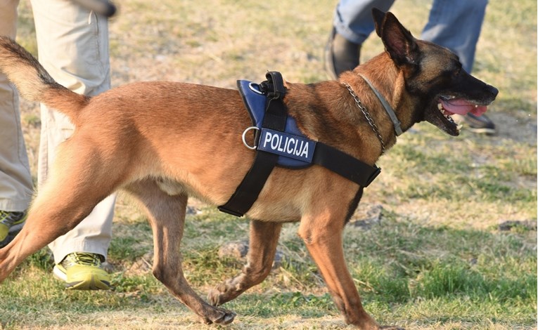 Hrvatska i BiH zajedno obučavaju službene pse
