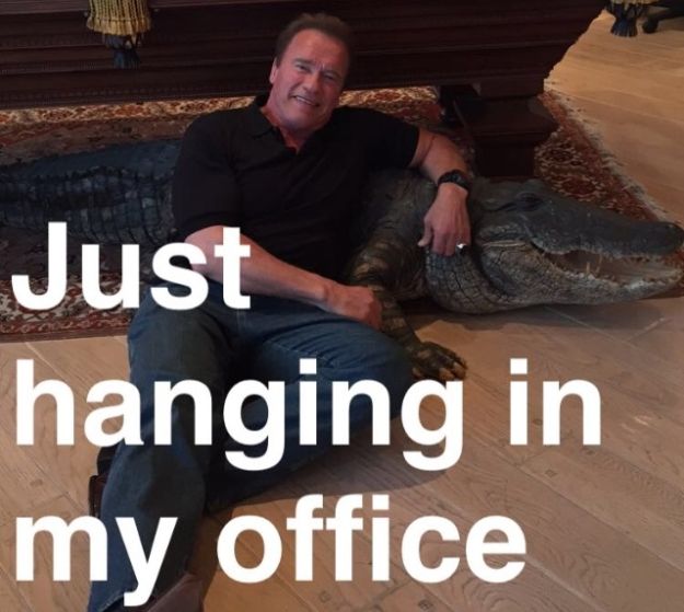 Schwarzenegger je otkrio Snapchat i totalno razvaljuje
