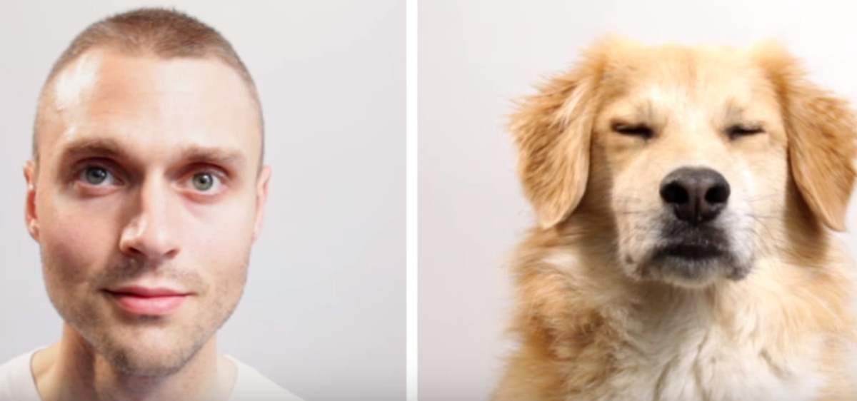 VIDEO Saznajte kako bi vaš život izgledao da ste pas