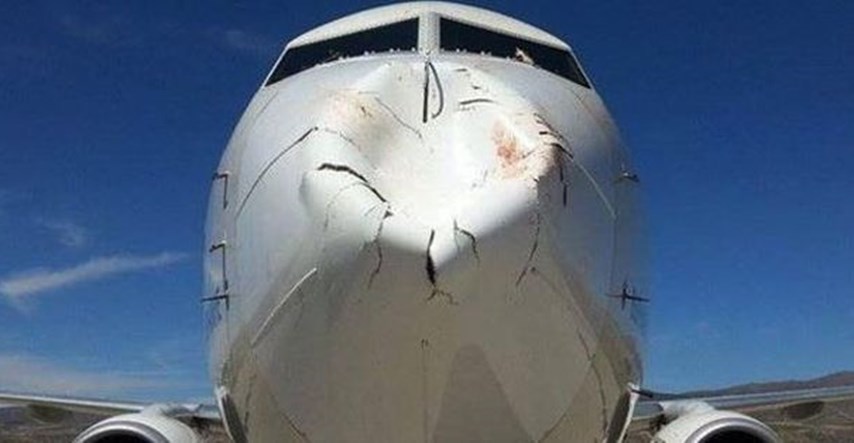 Evo što je Boeingu napravila - ptica