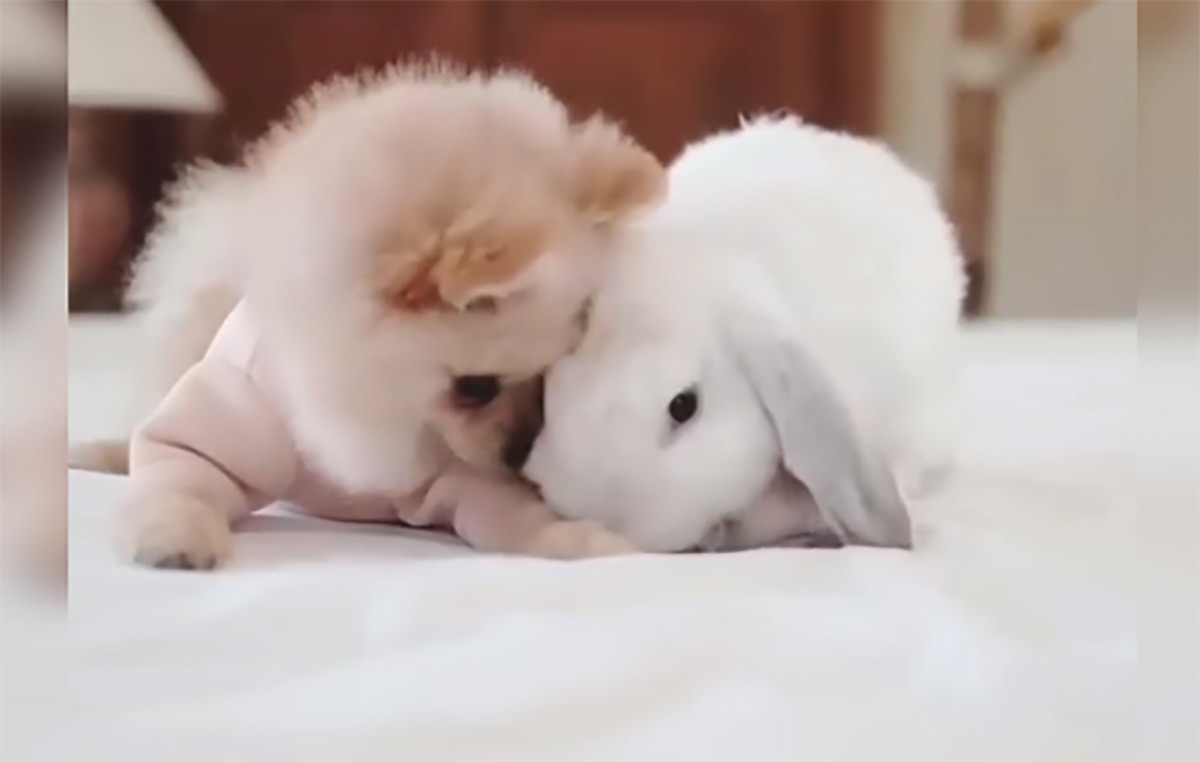 "TO JE LJUBAV" Uživat ćete gledajući ovaj video