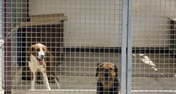 Predrag Baraba: Sklonište za životinje Pokupsko Cerje radi sukladno Zakonu