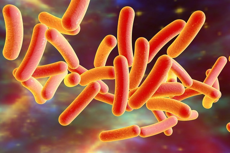 Superbakterije u EU godišnje ubijaju desetke tisuća ljudi: "Pokušavamo ih zaustaviti"