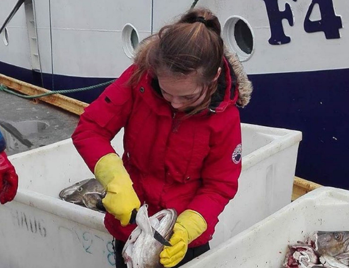 Djeca u Norveškoj režu jezike bakalara za dnevnicu veću od 3.500 kuna