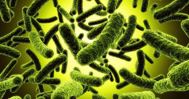 Američki znanstvenici: Pojavila se mutirana superbakterija otporna na sve antibiotike