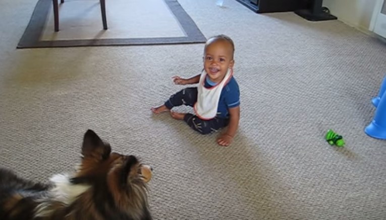 VIDEO Zaigrani pas nasmijao bebu do suza, roditelji su ih morali snimiti