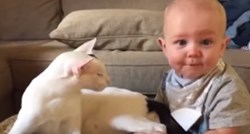 VIDEO Beba je uhvatila macu za nogu, a ona joj uzvratila na najljepši način