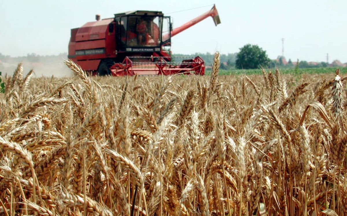 Usporava rast gospodarstva, ima li to veze s Agrokorom?