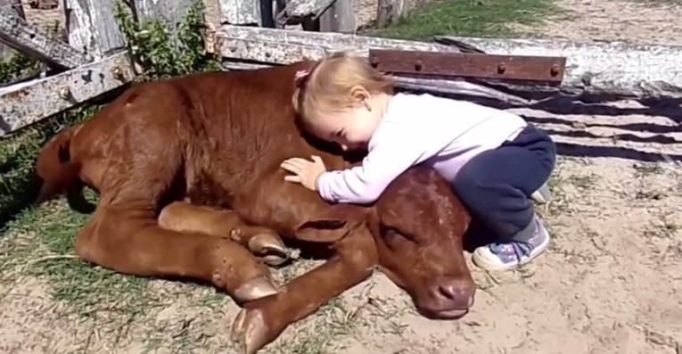 Video koji dokazuje da životinje osjećaju i vole više nego ljudi