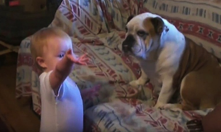 VIDEO Beba je psu pokušala objasniti što je muči, a njemu baš ništa nije bilo jasno!