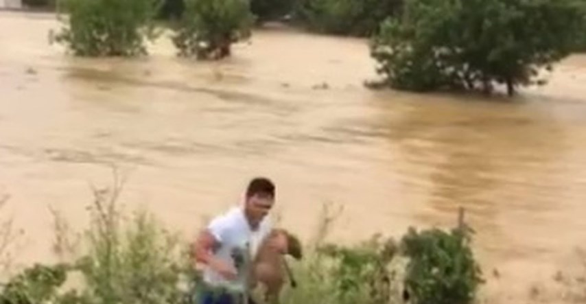 VIDEO Svaki život je važan: Mladić iz Posedarja spasio psića iz poplave