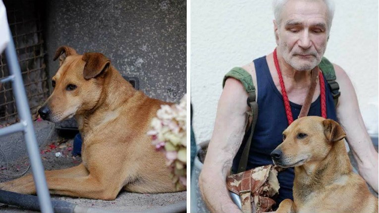 FOTO Ovaj pas ostao je potpuno sam, pomozimo mu pronaći dom