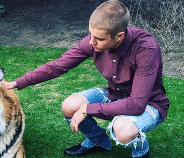 Justin Bieber razbjesnio društvo za zaštitu životinja: "Ima sreće što ga nije zaklao"
