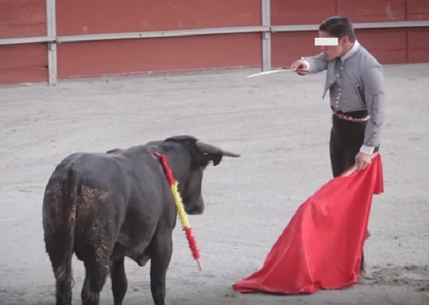UŽASAN VIDEO: Mladi sadisti na oduševljenje publike mlade bikove muče na smrt