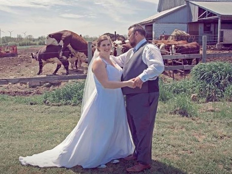 FOTO Bik zaskočio kravu i mladencima uništio romantičnu svadbenu fotku