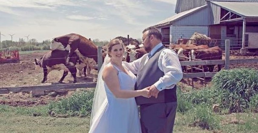 FOTO Bik zaskočio kravu i mladencima uništio romantičnu svadbenu fotku