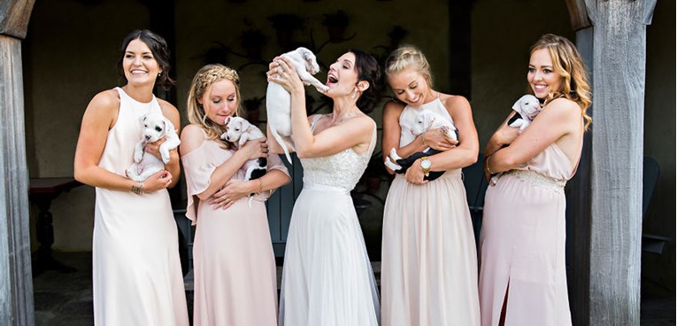 FOTO Umjesto vjenčanim buketima, odlučili su svoje vjenčanje "ukrasiti" spašenim štencima
