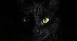Zbog čega se vjeruje da crne mačke donose nesreću?