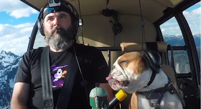VIDEO Ovaj se pas boji najčudnijih stvari, no obožava vožnju helikopterom