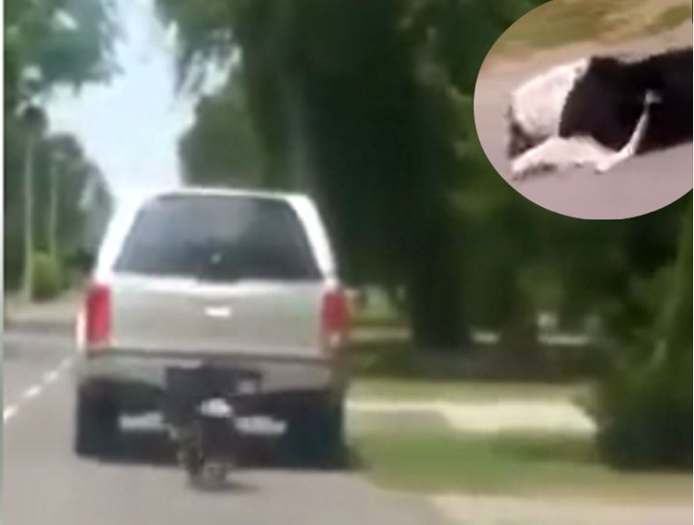 UZNEMIRUJUĆI VIDEO Monstrum u Borovu Selu vezao psa za auto i vukao ga po cesti