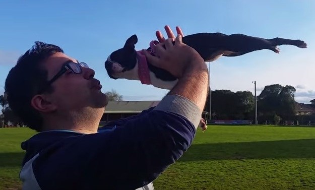 Ovaj pas pretvara se u pravog malog Supermana, kada želi poljubac od svog vlasnika