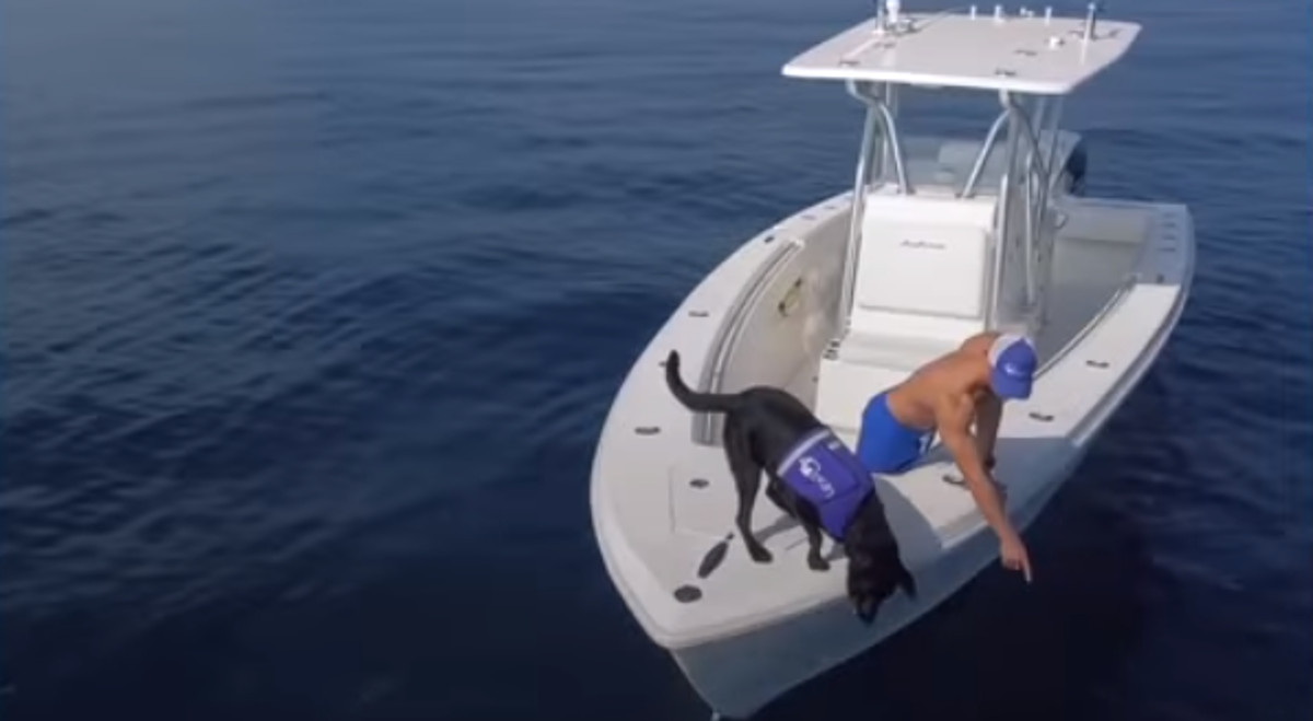 VIDEO Pas i njegov vlasnik zajedničkim snagama brinu se o smeću koje se gomila u oceanu