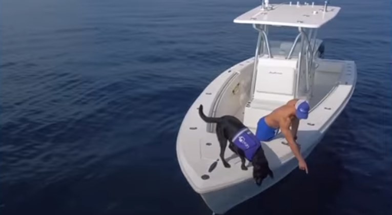 VIDEO Pas i njegov vlasnik zajedničkim snagama brinu se o smeću koje se gomila u oceanu