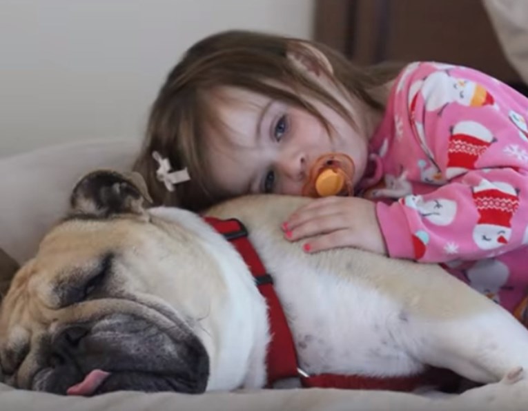VIDEO Bulldog i malena djevojčica najslađi su par na svijetu i najbolji prijatelji zauvijek