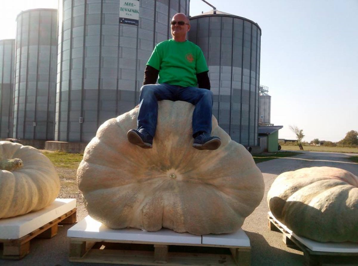 FOTO Ovo je najveća bundeva u Hrvatskoj, ni u snovima ne biste pogodili koliko teži