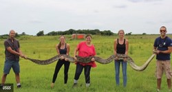 Na Floridi završilo bizarno natjecanje: Ukupno ubijene 102 zmije!