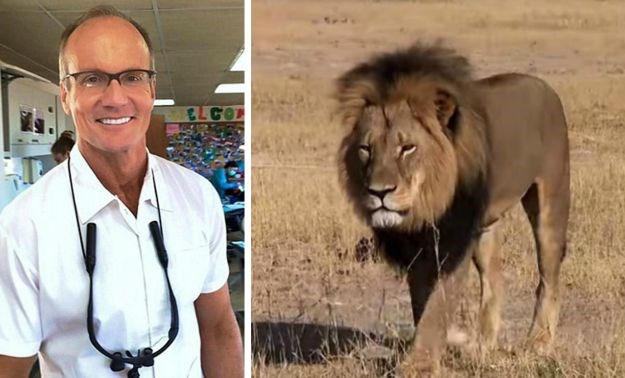 Zimbabve zatražio izručenje Amerikanca koji je ubio lava Cecila