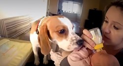 VIDEO Djevojčica je svom psu priredila iznenađenje koje mu je pružilo neviđenu radost