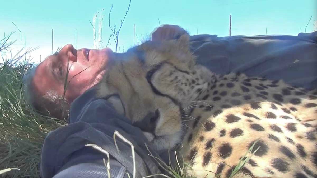 VIDEO Čovjek zaspao na trenutak i dobio nesvakidašnje društvo