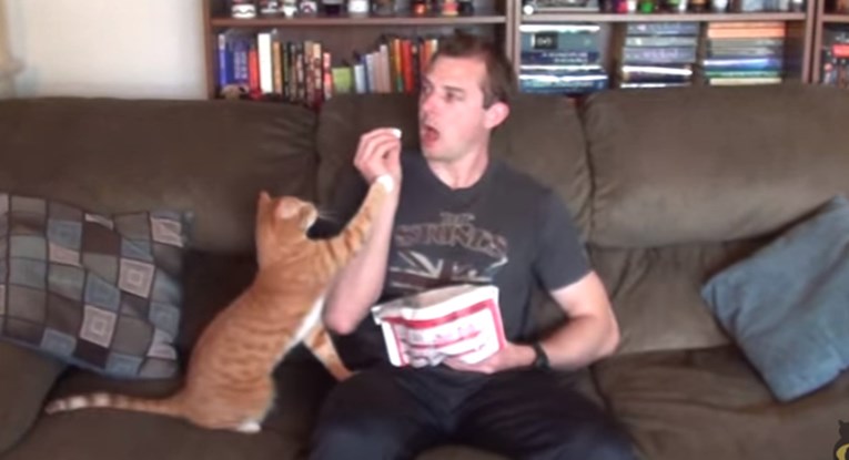 VIDEO Čovjek pokušava jesti u prisustvu mace koja ne odustaje