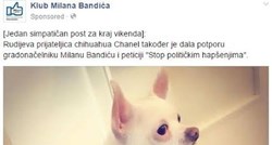 Klub Milana Bandića pokazao kako izgleda kad životinje posluže u političke svrhe