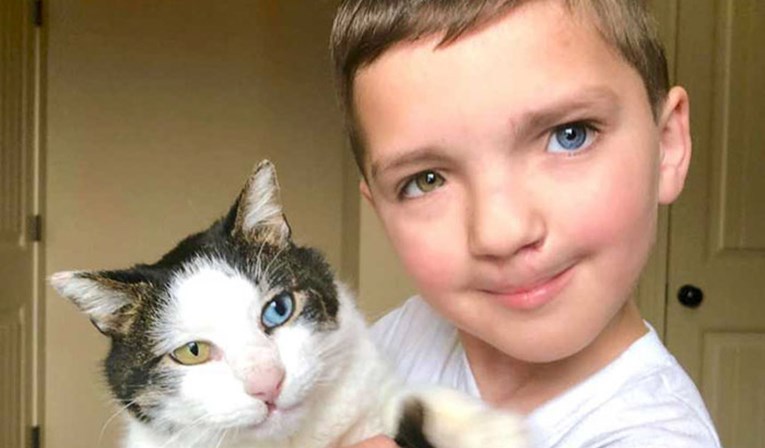 Dječaka su zlostavljali i zadirkivali u školi, a ovaj mu je mačak pomogao da se osjeća bolje