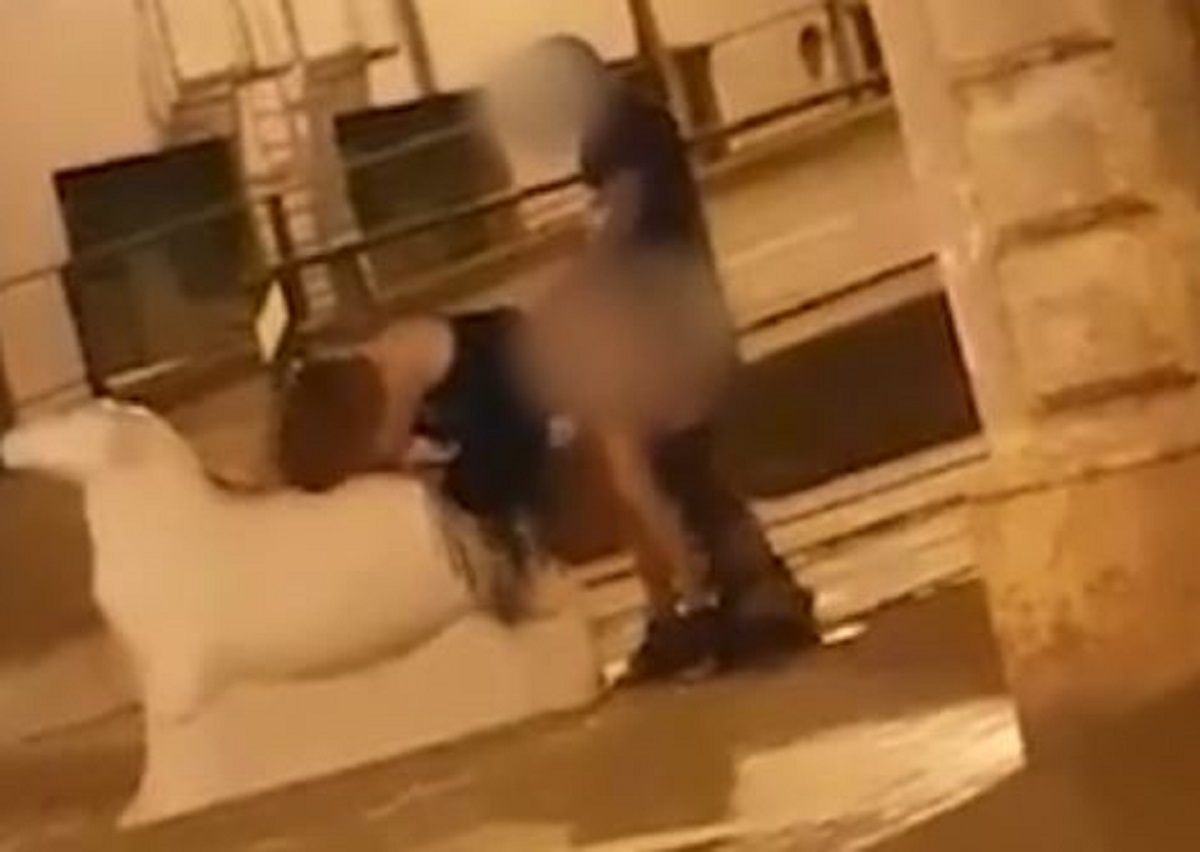 VIDEO Par se seksao na kipu ovce, prolaznici snimali i navijali (18+)