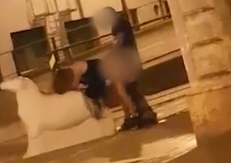 VIDEO Par se seksao na kipu ovce, prolaznici snimali i navijali (18+)