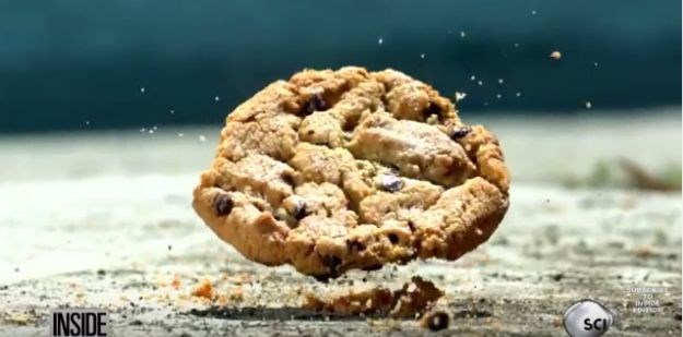 Hranu možemo jesti s poda, ali isključivo pod ovim uvjetima